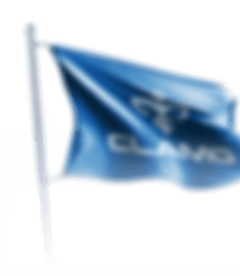 Flag blur Logo