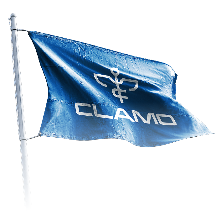 Flag Logo